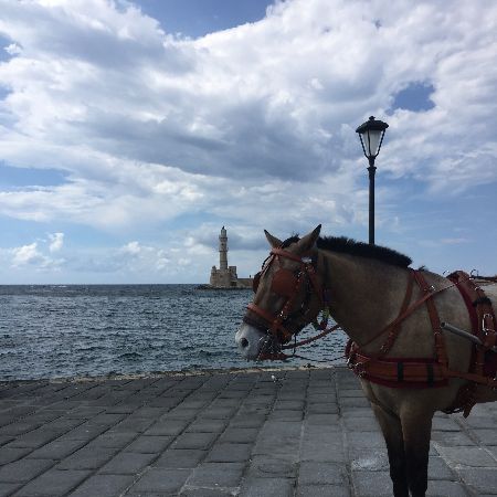 Feels good to be back home!