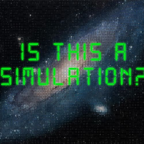 Simulation