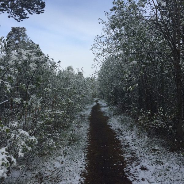 Preperation and excitment